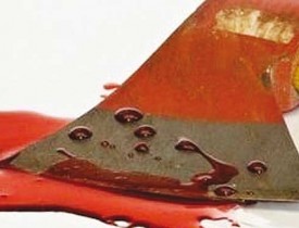 یک مرد کهن‌سال در هرات با تبر به قتل رسید