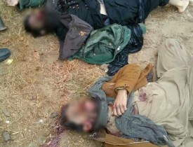 مسوول نظامی گروه طالبان در ولسوالی گلران هرات کشته شد