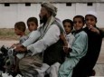 آغاز ریموت سنسنگ برای تشخیص دقیق نفوس افغانستان