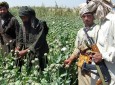 Taliban Defeat Impossible Without Elimination of Narcotics :U.S. Inspector General