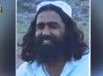 Taliban reacts at the killing of a top Al-Qaeda leader in Afghanistan