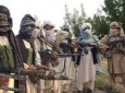 Taliban, Haqqani Roam Free In Pakistan: Pentagon