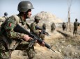 تلفات سنگین طالبان در نتیجه عملیات 