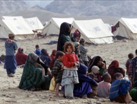 نیم‌میلیون نفر در سال گذشته میلادی در افغانستان 