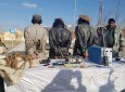 Three key members of Taliban group arrested in Paktika province