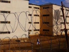 حکومت ۷۵ زندانی حزب اسلامی را آزاد کرد