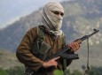 پیوستن یک سرگروه طالبان به پروسه صلح در جوزجان