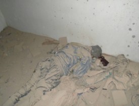 Five Al-Qaeda Members Killed in Nangarhar Night Raid