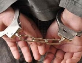 یک تروریست حرفه‌ای در هرات دستگیر شد