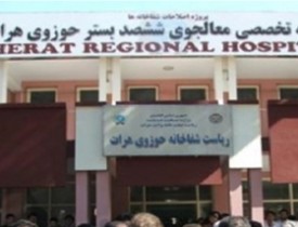 انتقال ۳۴ زخمی به شفاخانه هرات در ۲۴ ساعت