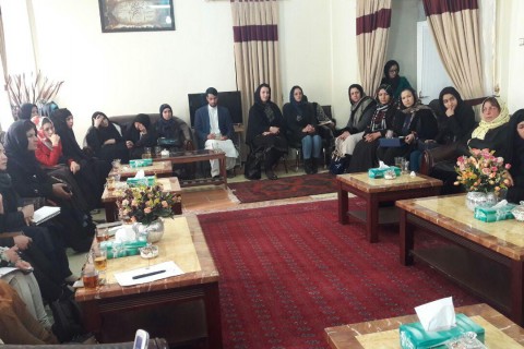 حمایت فعالان زن در هرات از اجرای پروژه تاپی