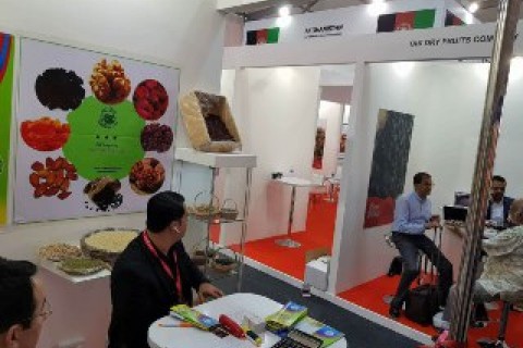 حضور افغانستان در نمایشگاه جهانی محصولات زراعتی امارات
