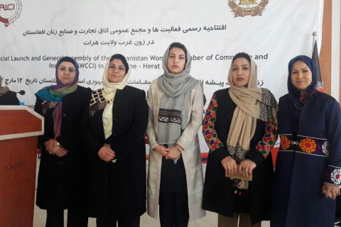 هیأت مدیره دفتر ساحوی اتاق تجارت و صنایع زنان در ولایت هرات انتخاب شدند