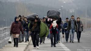 بازگشت بیش از دو هزار مهاجر از یونان به کشورهای شان