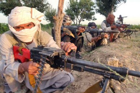 کشته‌شدن سه فرمانده طالبان در دایکندی
