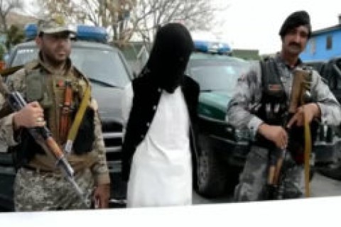 بازداشت مسؤول جمع‌آوری زکات طالبان در غزنی