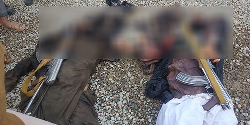 Taliban Commander Killed in Herat Clash