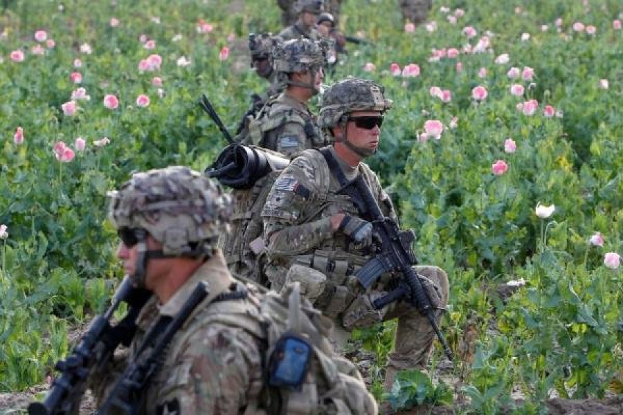 جنگ تریاک؛ امریکا چگونه در افغانستان با مواد مخدر مبارزه می‌کند؟