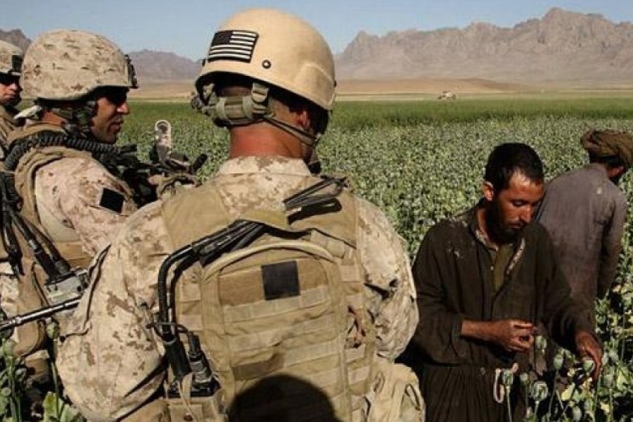 رشد بی‌سابقه تولید هرویین در افغانستان؛ امریکا پاسخ دهد