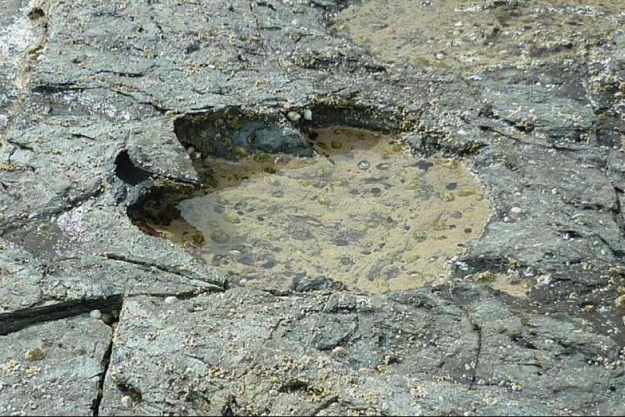 کشف ردپای ۵۰ دایناسور در جزیره اسکای اسکاتلند بریتانیا