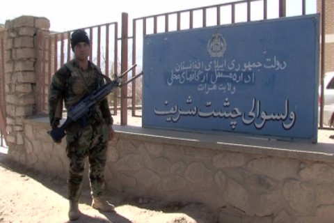 ۲۳ عضو طالبان در هرات کشته و زخمی شدند