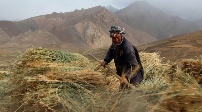 رشد اقتصادی افغانستان طی دو سال آینده ۲.۵ درصد می باشد