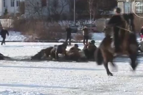 ویدئو/ رژه اسب ها بر روی رودخانه یخ زده که ناگهان ...
