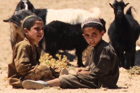 500,000 children affected by drought in Afghanistan – UNICEF
