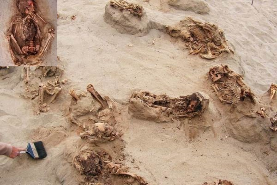کشف اسکلیت های ۵۵۰ ساله در پیرو