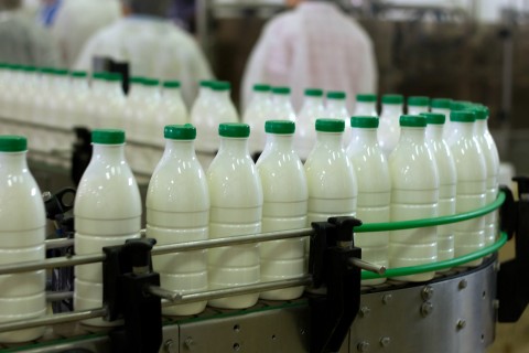 کارخانۀ بزرگ تولید شیر و لبنیات در کابل ساخته می‌شود