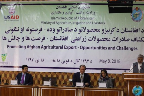 رشد ۳۰ درصدی تولید محصولات زراعتی افغانستان