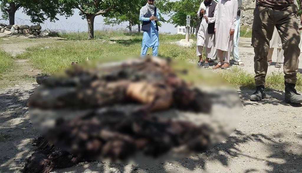 DAESH militants kill 9 of their own comrades in Nangarhar province