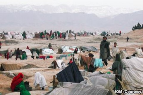 ۱۱۵ میلیون دالر برای آسیب دیدگان از خشکسالی در افغانستان نیاز است