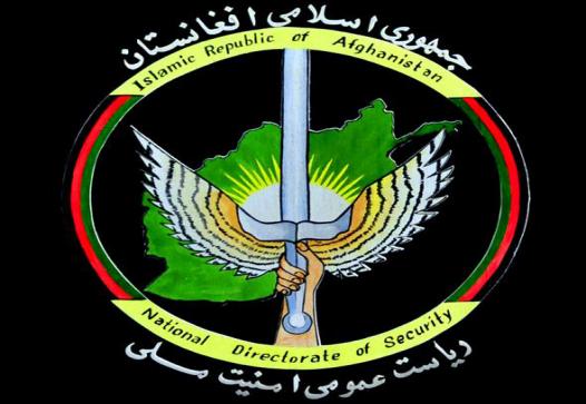 16 Haqqani commanders killed in Paktia operation: NDS