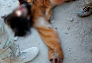 Taliban leader killed over sexual assault attempt in Nangarhar province