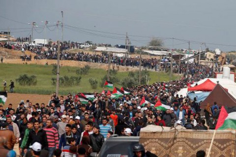 فلسطين و کمپاین «بازگشت به وطن»