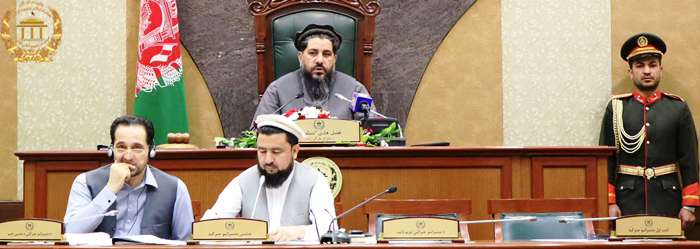 Senate House Calls for ‘Permanent Ceasefire’ with Taliban