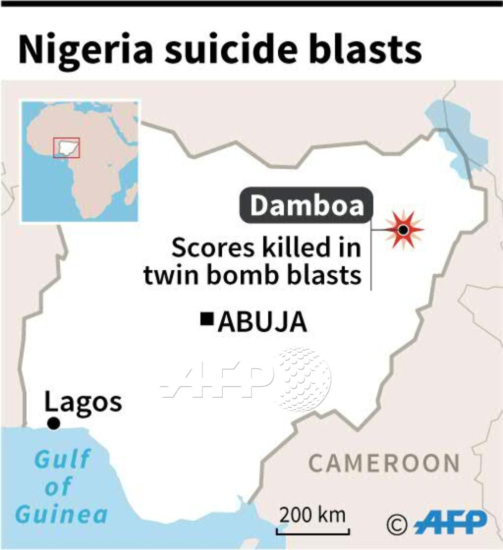 Suicide blasts in NE Nigeria kill at least 31: official, local militia