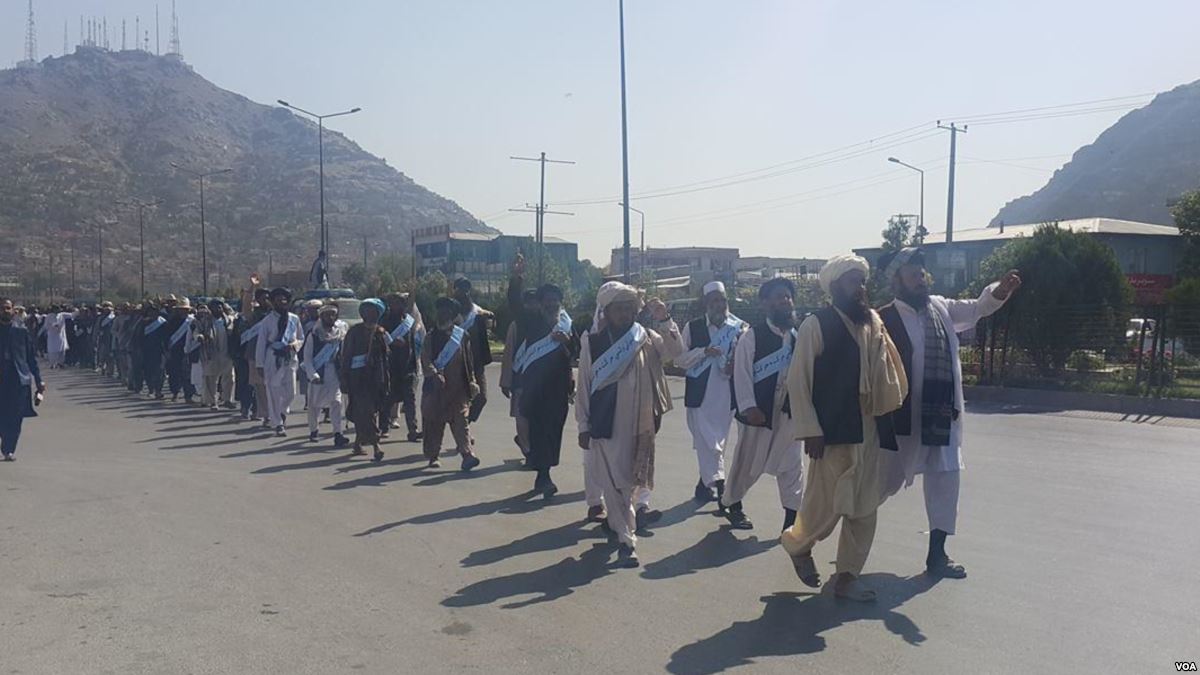 Helmand Peace Convoy Arrives In Kabul