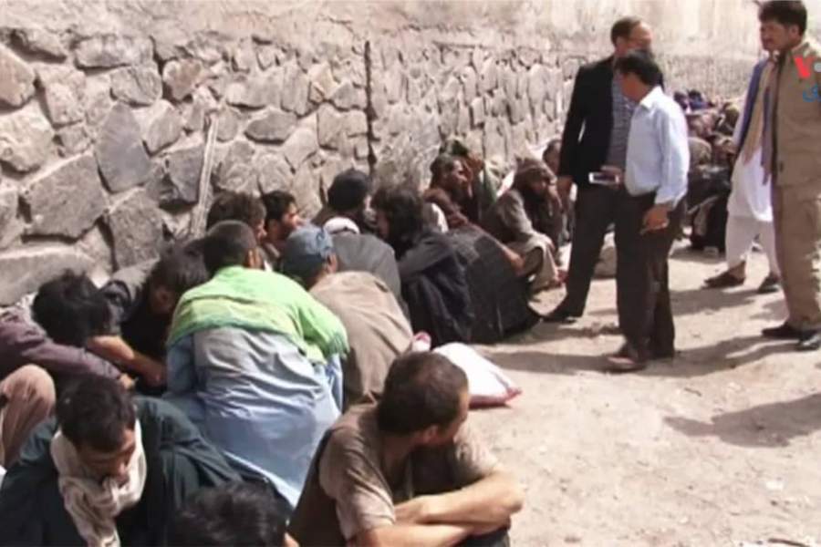 جمع آوری ۱۰۰ معتاد در هرات