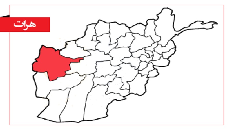 ثبت نام 164 نفر از حوزه هرات در انتخابات مجلس نمایندگان