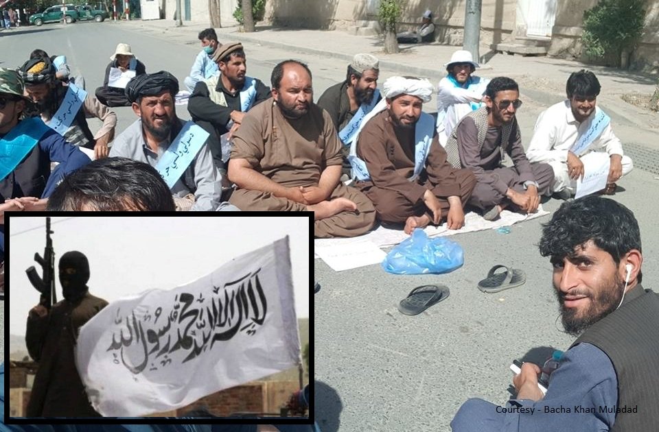 Taliban rejects all efforts and movements aimed at bringing peace