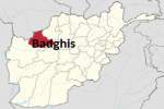 Airstrikes kill 12 Taliban militants in W. Afghanistan