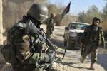 Afghan troops mop up militants, killing 132 in fresh operations