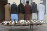 بازداشت 6 تن به اتهام قاچاق مواد مخدر در بلخ