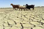 هشدار سازمان ملل به عواقب خشکسالی در افغانستان
