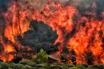 آتش‌سوزی اراضی جنگلی یونان؛ مرگ‌بارترین آتش‌سوزی قرن در اروپا