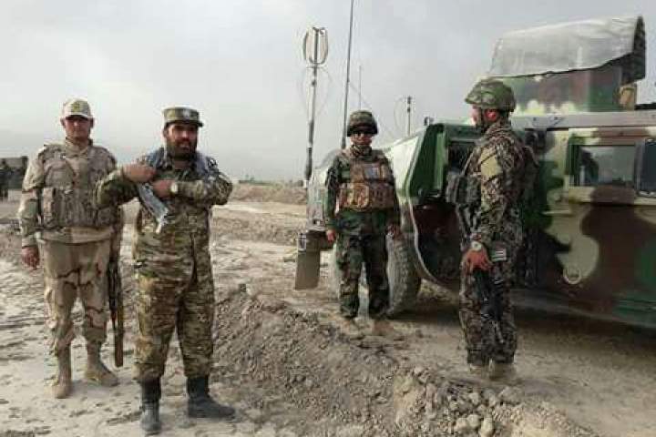 چند عضو طالبان در پکتیا، کشته، زخمی یا بازداشت شدند