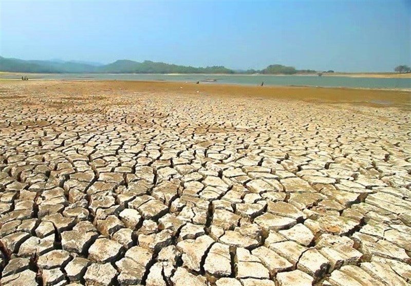 نابودی ده‌ها هکتار کشتزار للمی در خشکسالی‌های بلخ