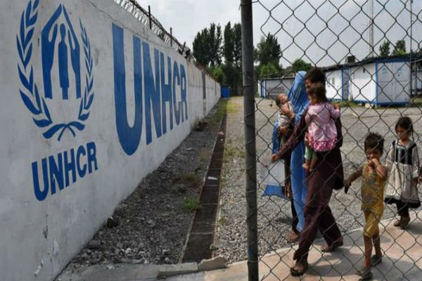 Iran needs more help to support Afghan refugees – UNHCR chief